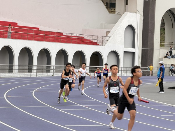 115年新北市小運會田徑賽